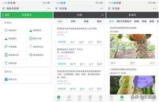 指尖躍動新希望——五指山市農民借力互聯網技術開拓致富新路徑